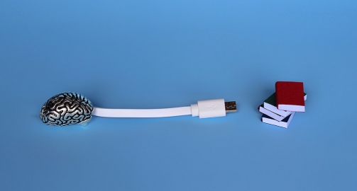 ¿Por qué tu cerebro ama aprender?