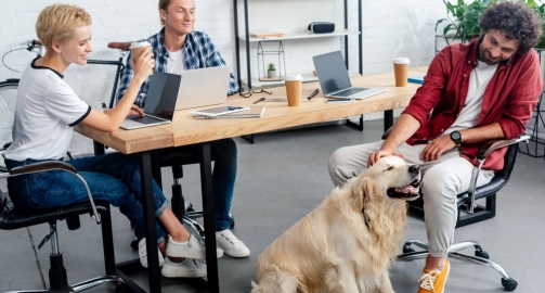 ¡Guau! Animales en la oficina